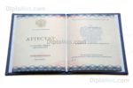 разворот аттестата за 11 класс 2014-2026